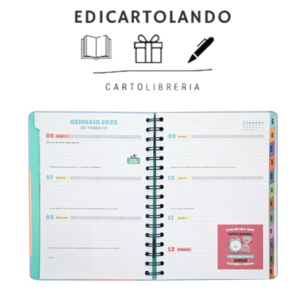 Agenda Wonder 2025 Settimanale - Sono al top - immagine 4