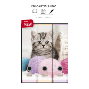 Set 3 registratori D8 - Kitty