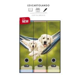 Set 3 registratori D8 - Puppies